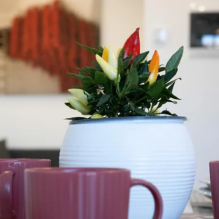 Apartamento M&mapartments