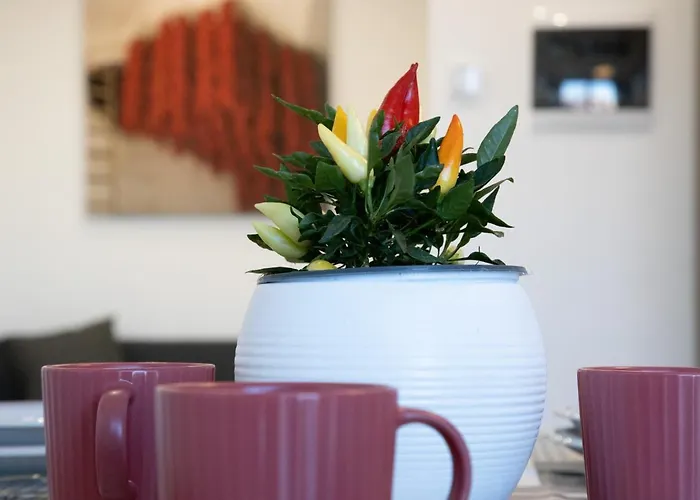 公寓 M&mapartments